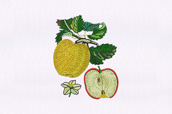 Apple and Half Apple: A Charming Embroidery Design
