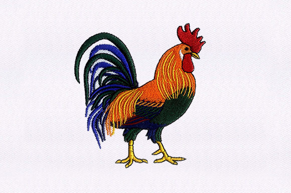 Brahma Chicken: A Vibrant Addition to Your Craft Fair